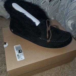 Uggs Booties
